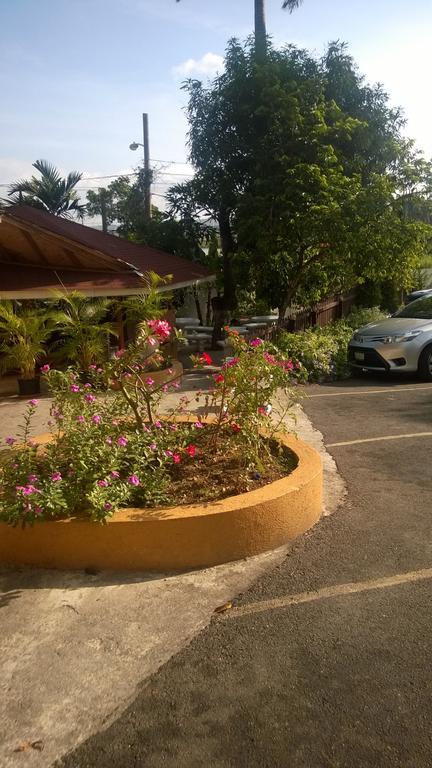 Palm Bay Guest House & Restaurant Montego Bay Buitenkant foto